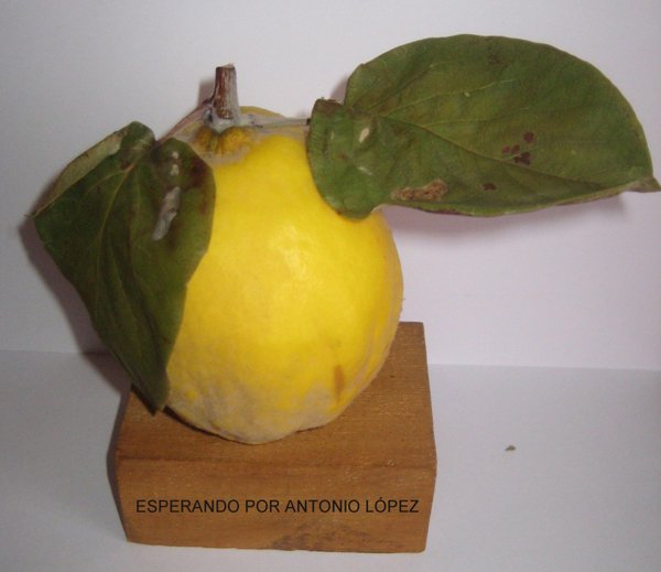 lai museum official website all rights reserved